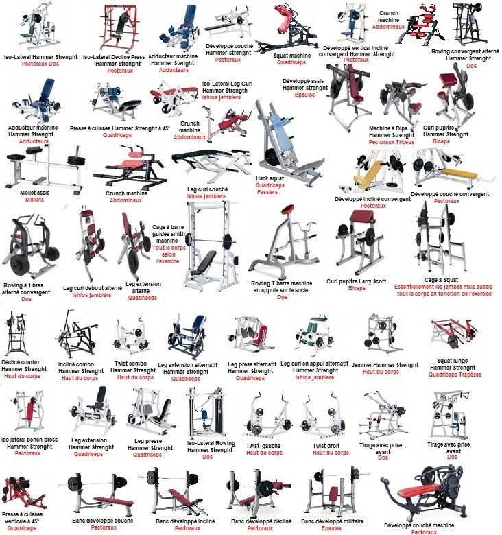 19 u00b0 partie des exercices de musculation pour le bodybuilding   accessoires divers de fitness et