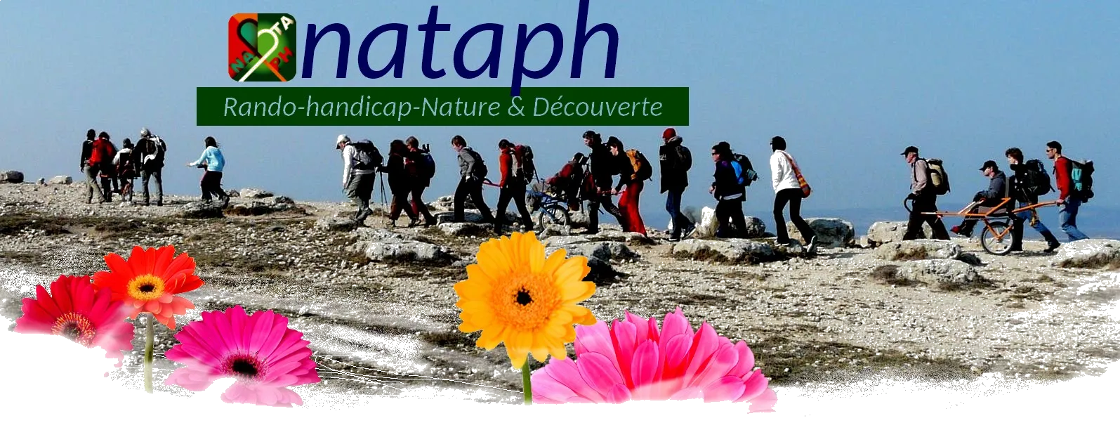 Logo Nataph - Rando-Handicap-Nature (France)